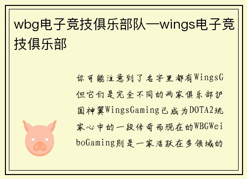 wbg电子竞技俱乐部队—wings电子竞技俱乐部